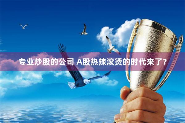 专业炒股的公司 A股热辣滚烫的时代来了？