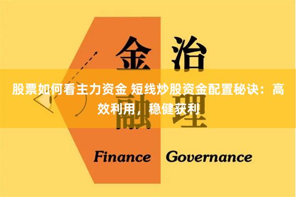 股票如何看主力资金 短线炒股资金配置秘诀：高效利用，稳健获利