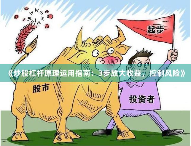 《炒股杠杆原理运用指南：3步放大收益，控制风险》