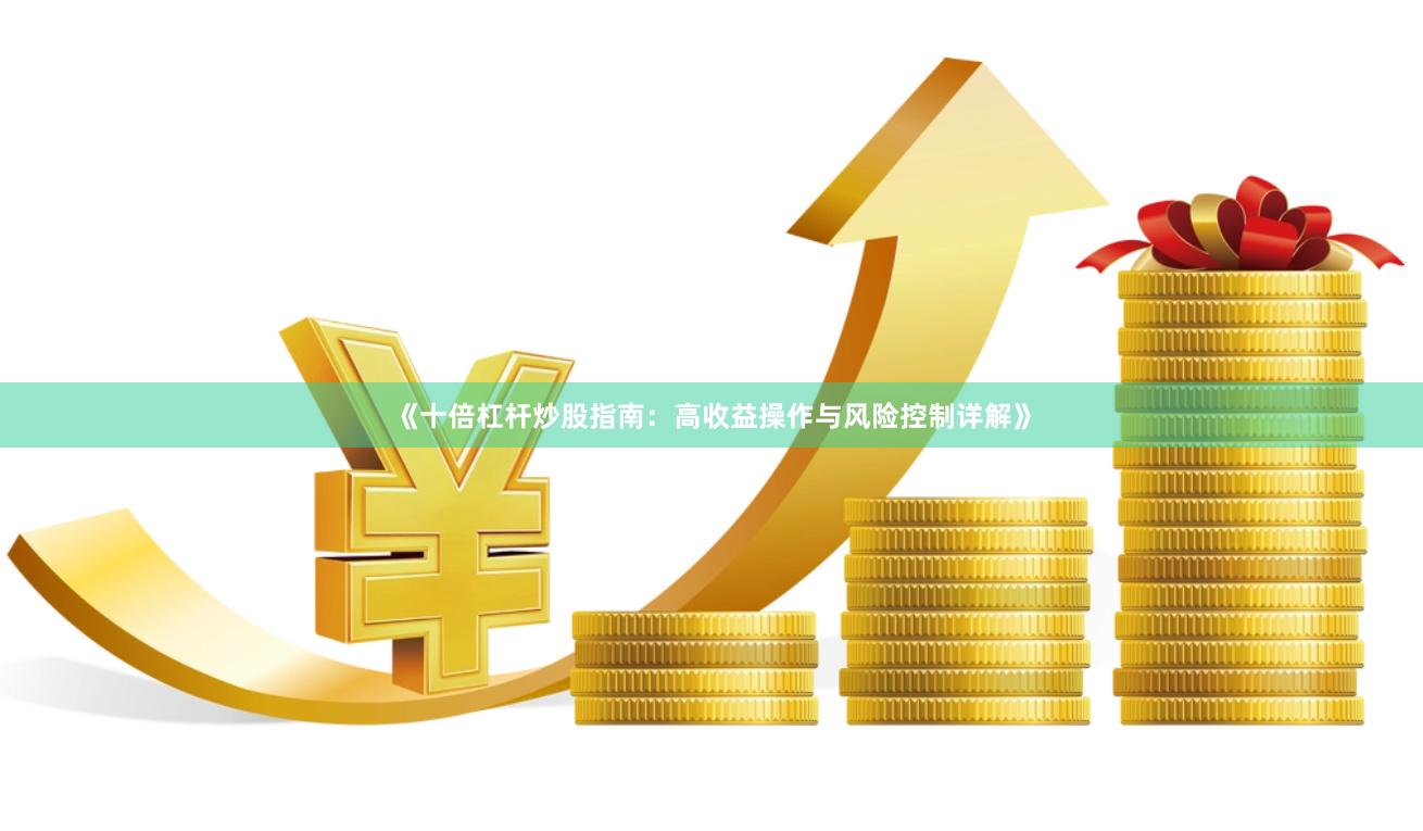 《十倍杠杆炒股指南：高收益操作与风险控制详解》